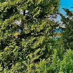 Casa Raphael Direkt Am Scharbeutzer * Scharbeutz