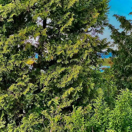 Casa Raphael Direkt Am Scharbeutzer * شاربوتس
