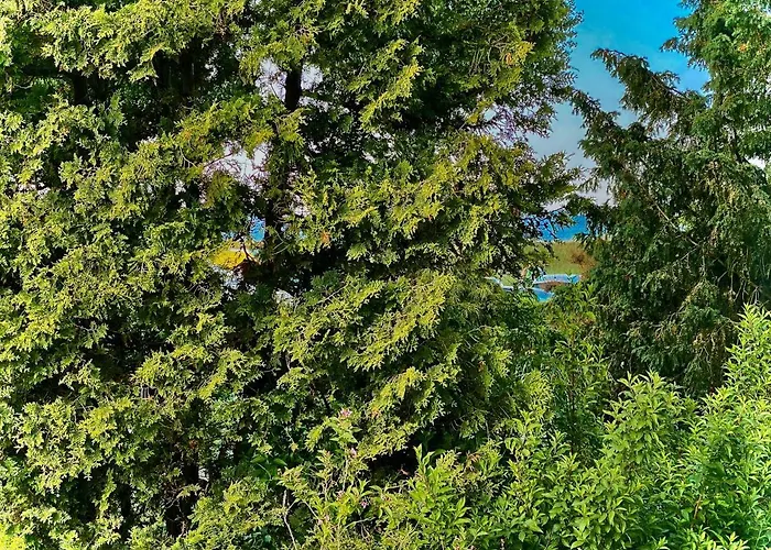 Casa Raphael Direkt Am Scharbeutzer * Scharbeutz